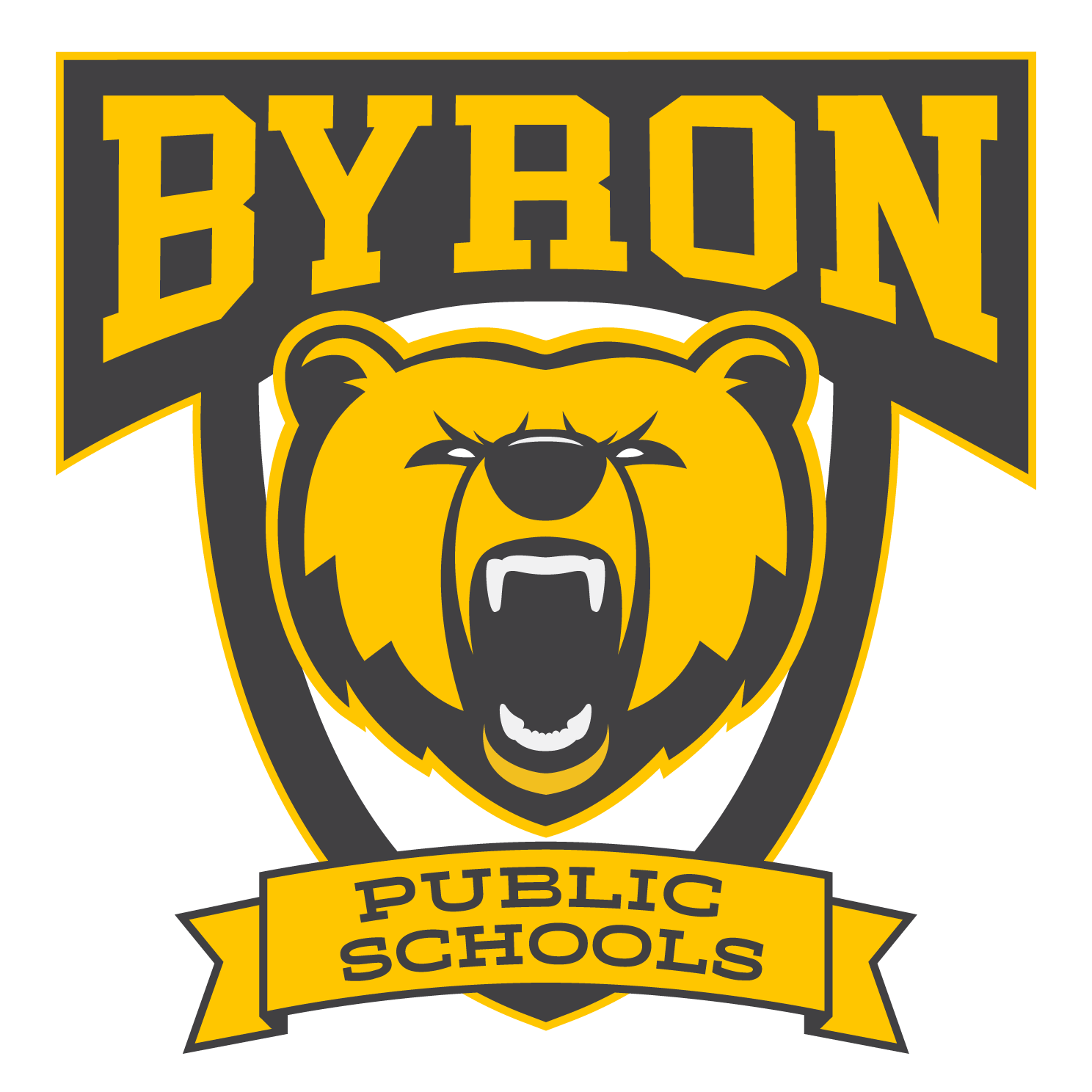 Justin VanLaere: Write-In Candidate for Byron Public Schools